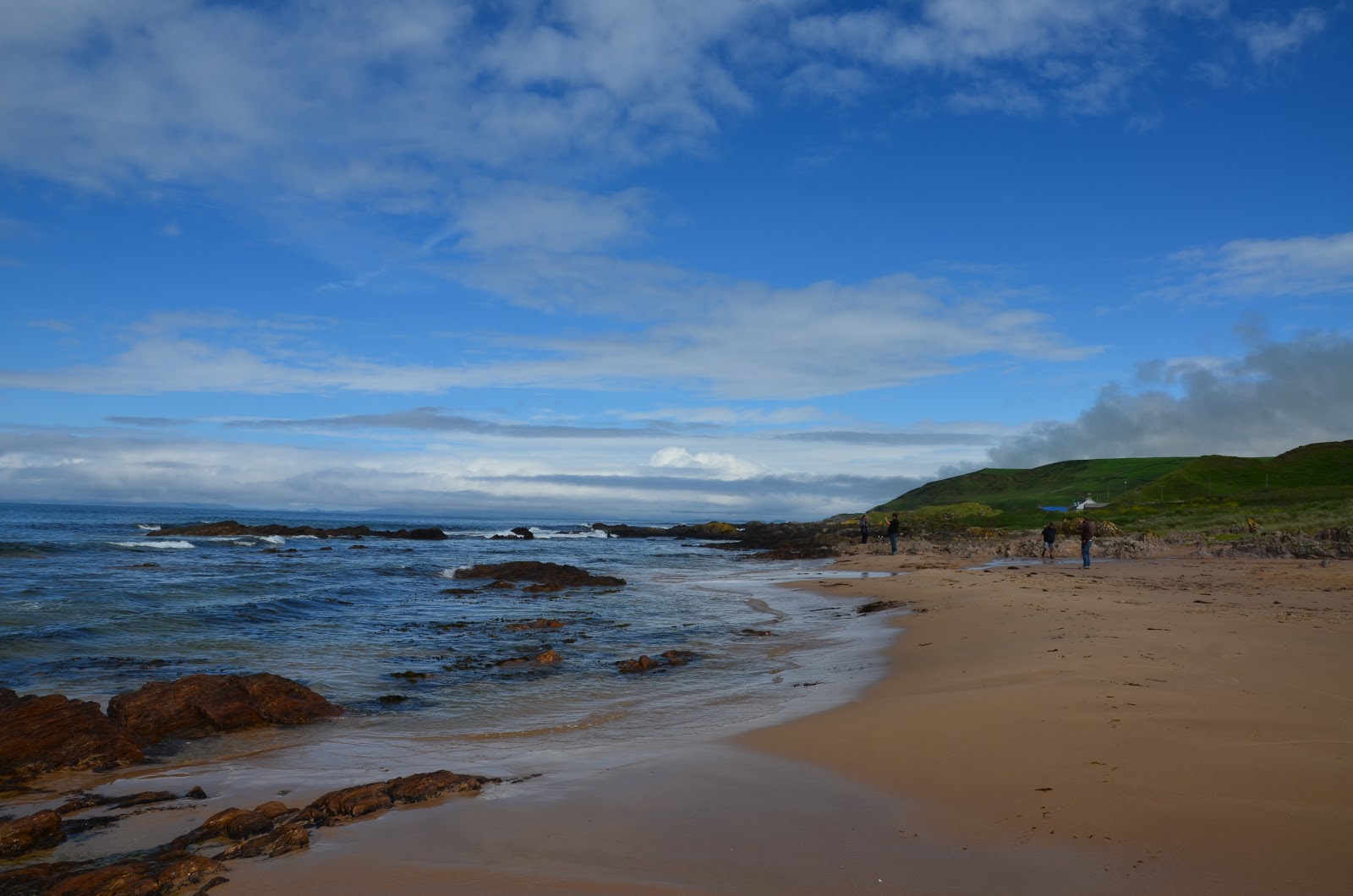 Photo of Westport Beach wild area