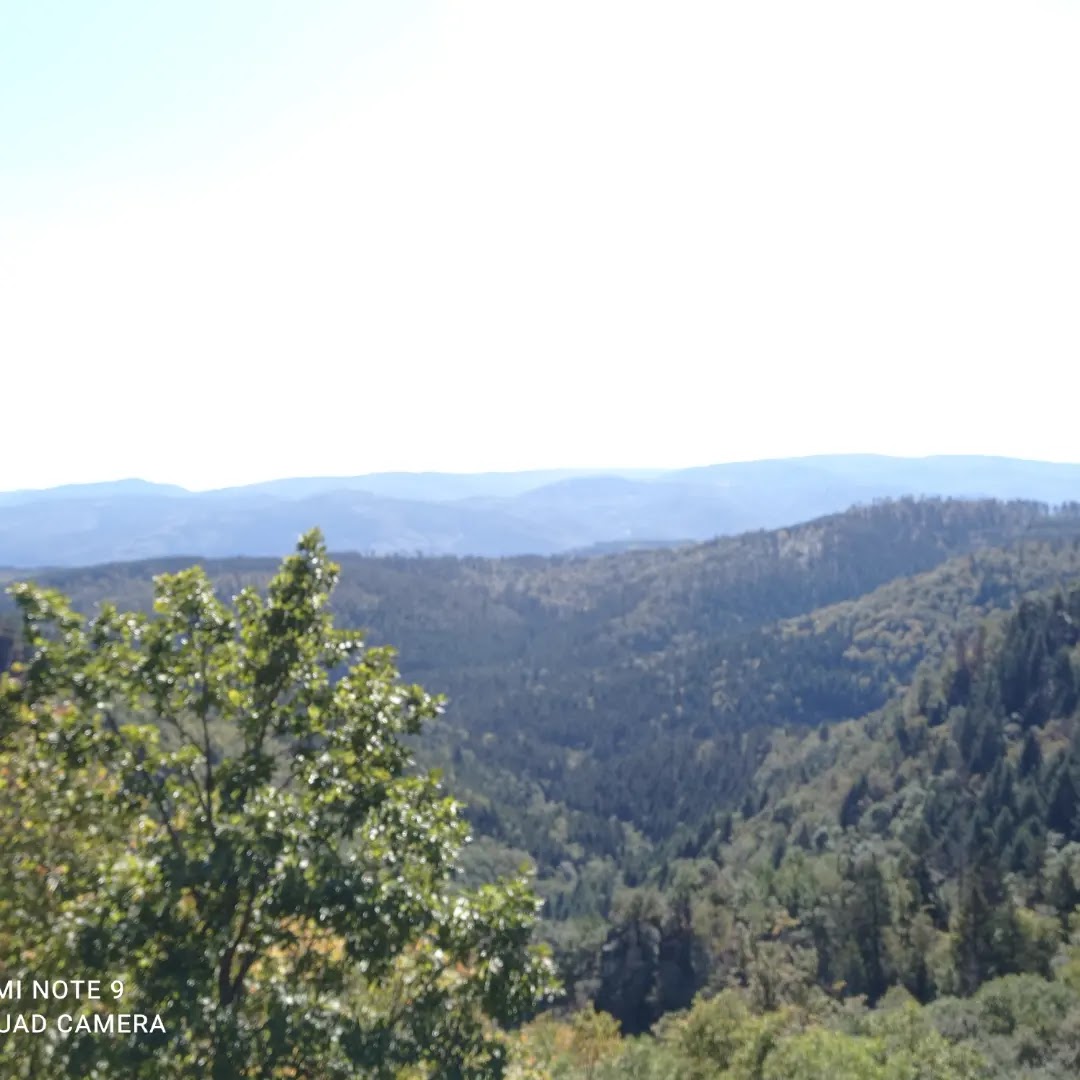 Photo n° 1 de l'avis de Florian.u fait le 25/09/2023 à 13:11