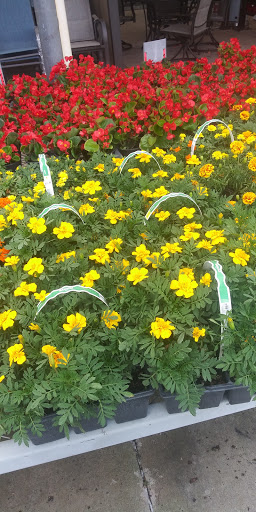 Home Improvement Store «The Home Depot», reviews and photos, 3451 NW Federal Hwy, Jensen Beach, FL 34957, USA