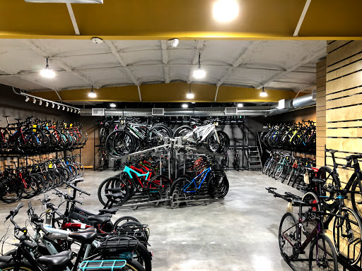 Bicycle workshop Houston