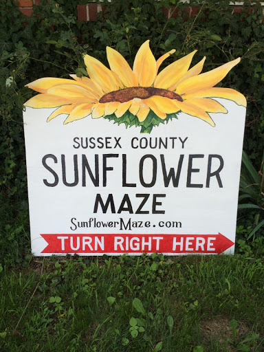 Tourist Attraction «Sussex County Sunflower Maze», reviews and photos, 101 Co Rd 645, Sandyston, NJ 07826, USA