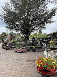 Eastside Gardens - Photo 9 - Car repair in Bend, OR, Bend