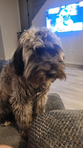 Tropical Fish Store «Aquatic Dog», reviews and photos, 7429 E Iliff Ave, Denver, CO 80231, USA