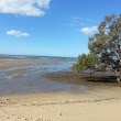 Deception Bay Dog Beach