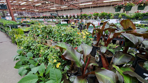 Hardware Store «McLendon Hardware», reviews and photos, 1111 Fryar Ave, Sumner, WA 98390, USA