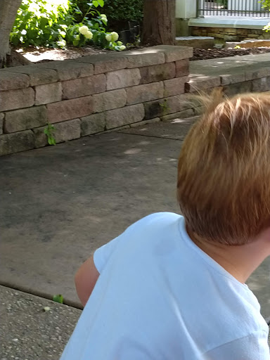 Golf Club «Whisper Creek Golf Course», reviews and photos, 12840 Del Webb Blvd, Huntley, IL 60142, USA