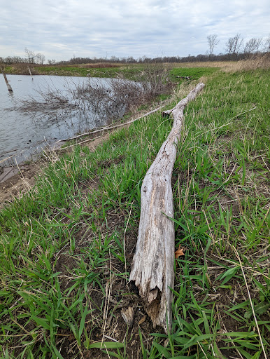 Nature Preserve «Shoe Factory Road Prairie Nature Preserve», reviews and photos, Shoe Factory Rd, Hoffman Estates, IL 60192, USA