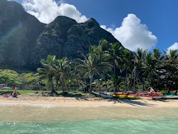 Kaiona Beach'in fotoğrafı uçurumlarla desteklenmiş