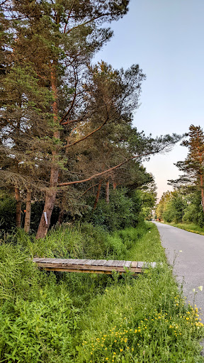 Meadow Lakes Park
