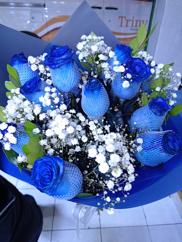 Comentarii opinii despre Las Dalias de Monterrico