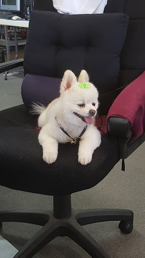 Commercial Printer «Budget Print», reviews and photos, 1519 S Pine Ave, Ocala, FL 34471, USA