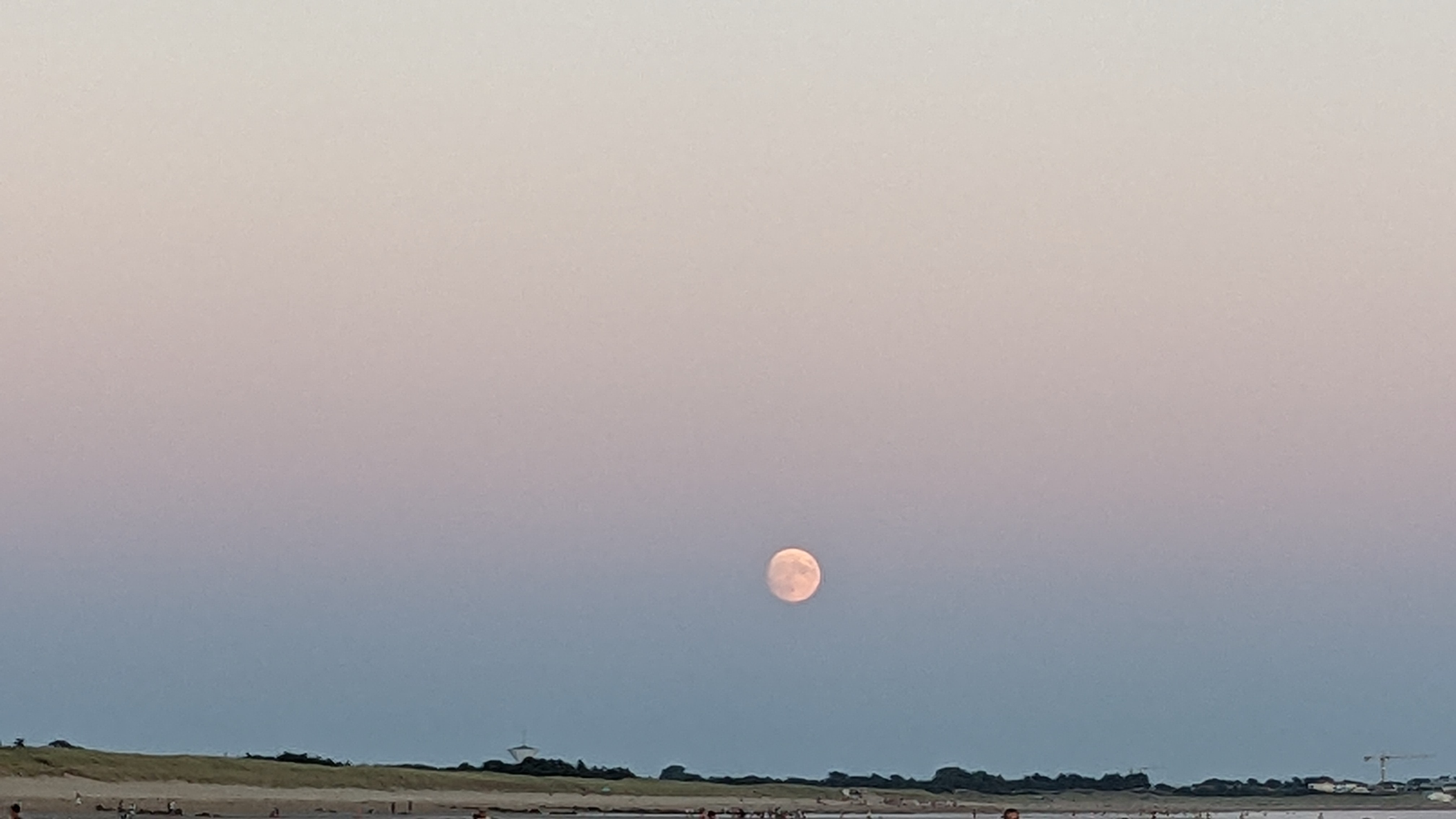 Photo n° 5 de l'avis de marc. fait le 19/08/2022 à 21:45
