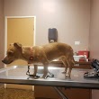 Northeast Animal Hospital