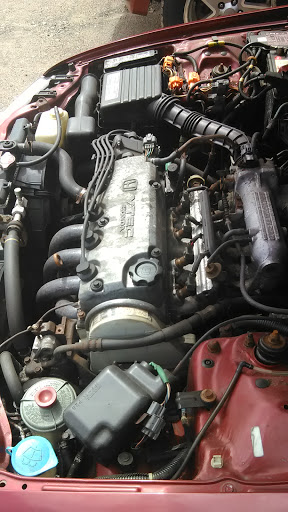 Charity «Helping Hands of America», reviews and photos