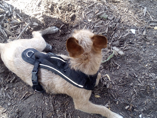 Park «Madison Square Park», reviews and photos, 400 Lexington Ave, San Antonio, TX 78215, USA