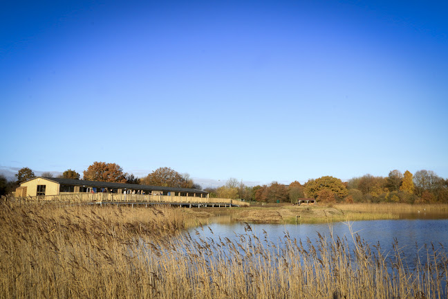 Reviews of Potteric Carr Nature Reserve in Doncaster - Other