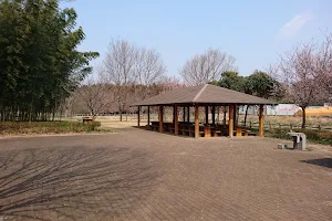 三ツ堀里山自然園 image