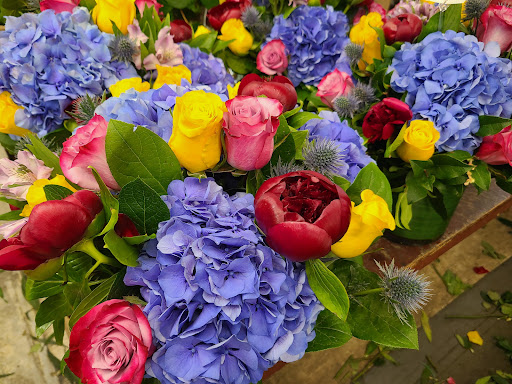 Florist «Exotic Flowers», reviews and photos, 609 American Legion Hwy, Boston, MA 02131, USA