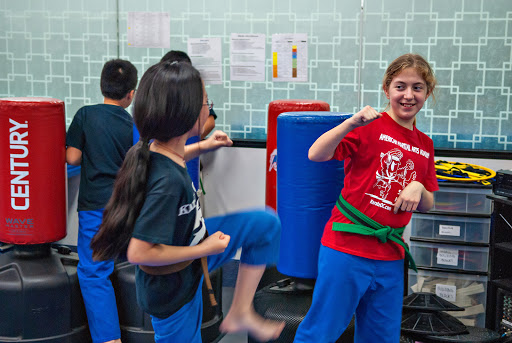 American Martial Arts Academy image