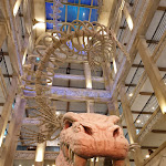 Photo n°1 de l'avis de Laurent. fait le 27/02/2020 à 12:14 sur le  4-Sterne Superior Erlebnishotel Krønasår à Rust