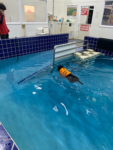 Pet Supply Store «Pet Depot Inc», reviews and photos, 2151 Greenspring Dr, Lutherville-Timonium, MD 21093, USA