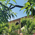 Photo n°2 de l'avis de Silvio.e fait le 20/05/2021 à 19:04 sur le  Borgo Ramezzana Country House à Trino