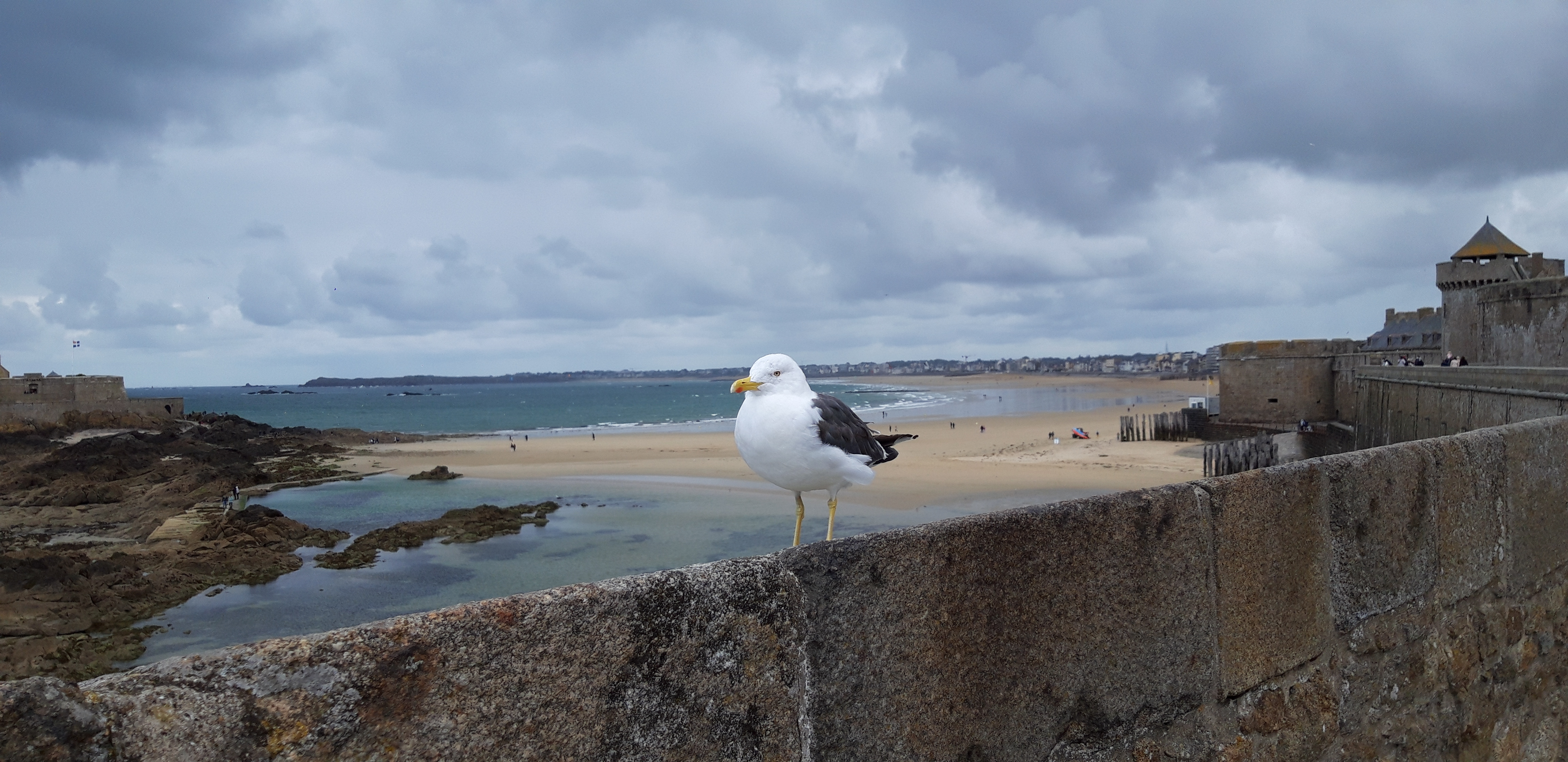 Photo n° 19 de l'avis de Philippe.u fait le 02/09/2020 à 11:56