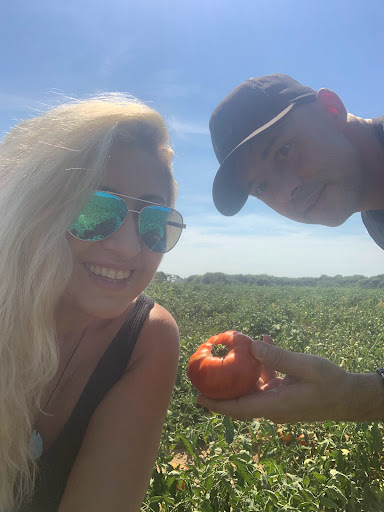 Farm «Lewin Farms», reviews and photos, 812 Sound Ave, Calverton, NY 11933, USA