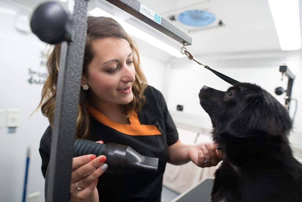 Wags on Wheels Mobile Dog Grooming