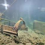Photo n° 6 de l'avis de christophe.a fait le 07/09/2022 à 13:28 pour Aquarium de Touraine à Lussault-sur-Loire
