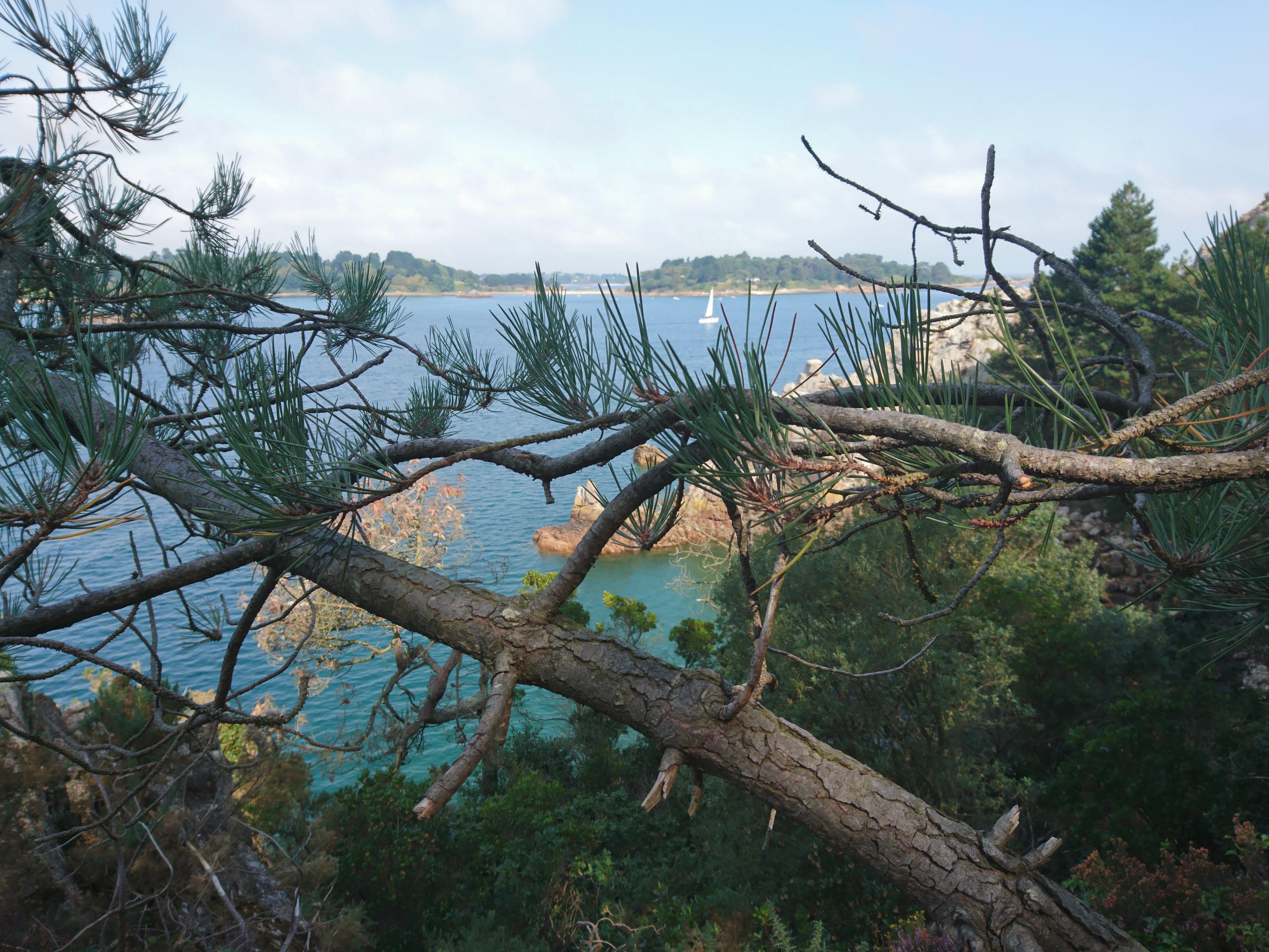 Photo n° 7 de l'avis de Nicolas.e fait le 02/08/2019 à 09:57