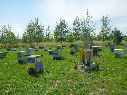 B-Y's Honey Farm