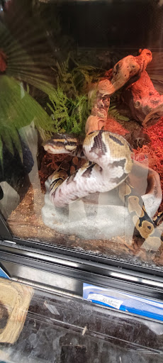 Pet Supply Store «PetSmart», reviews and photos, 1410 NE 23rd St, Pompano Beach, FL 33062, USA
