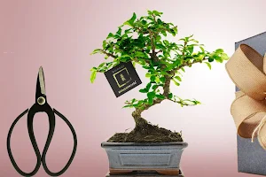 GreenGifts - Planten, Cadeaus & Duurzame Relatiegeschenken image
