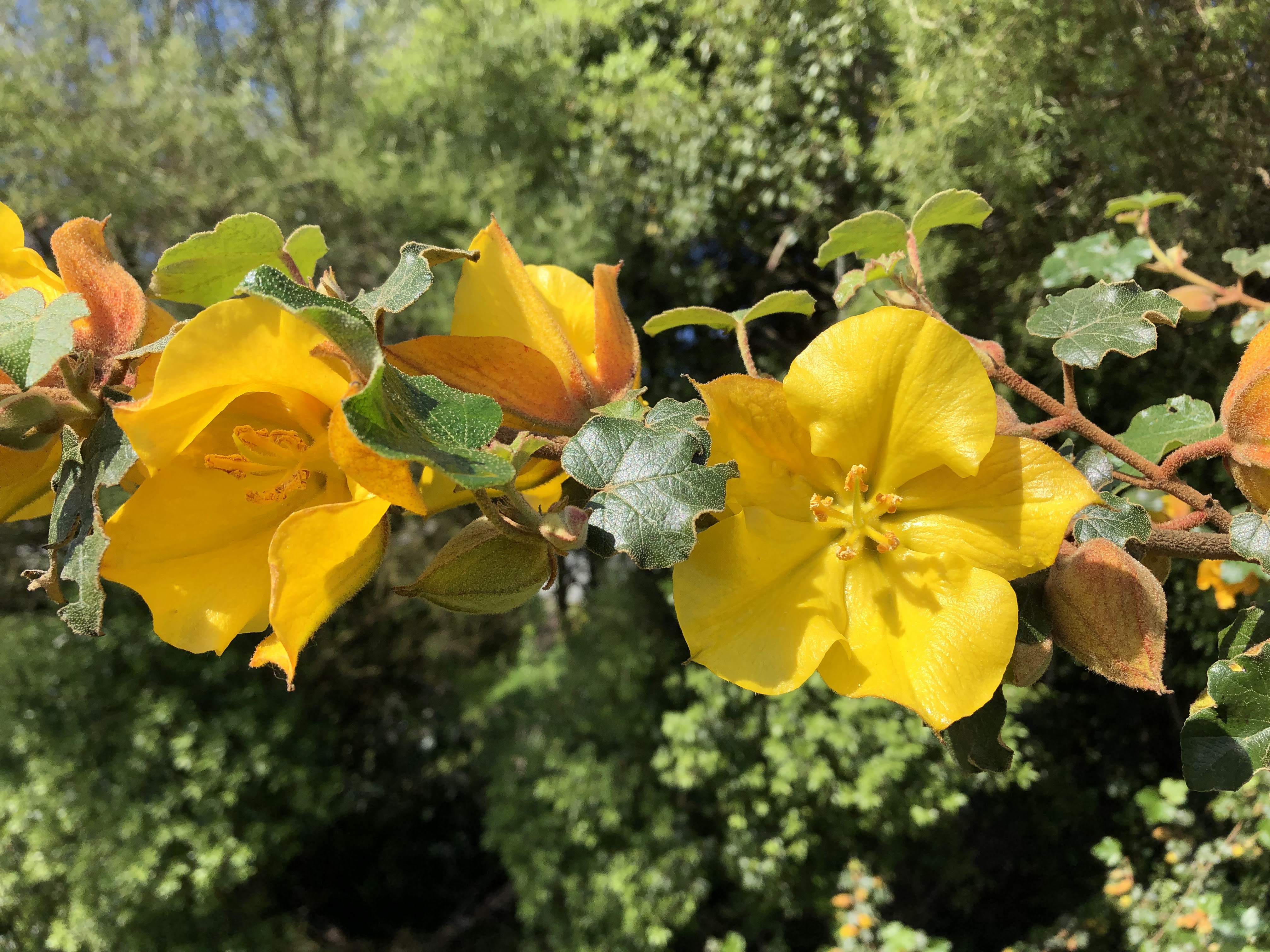 Photo n° 4 de l'avis de Denis.E fait le 26/04/2019 à 20:10