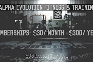 Alpha Evolution Fitness & Training, LLC image