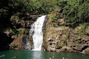 Waimea Falls image