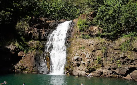 Waimea Falls image