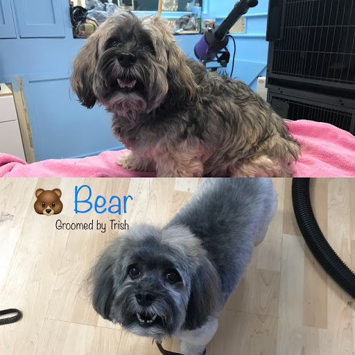 Pet Store «Planet Pet», reviews and photos, 1980 W Fairbanks Ave, Winter Park, FL 32789, USA