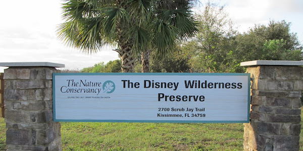 The Nature Conservancy's Disney Wilderness Preserve