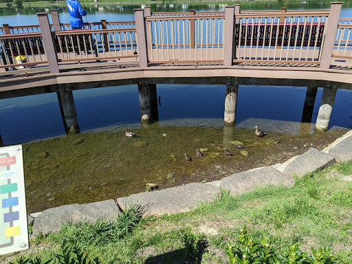 Park «Lake Park», reviews and photos, 2100-2198 Lee St, Des Plaines, IL 60018, USA