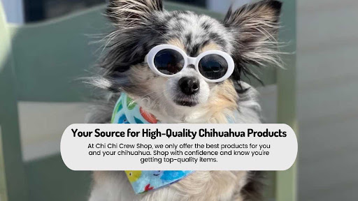 Franchise Food Fight