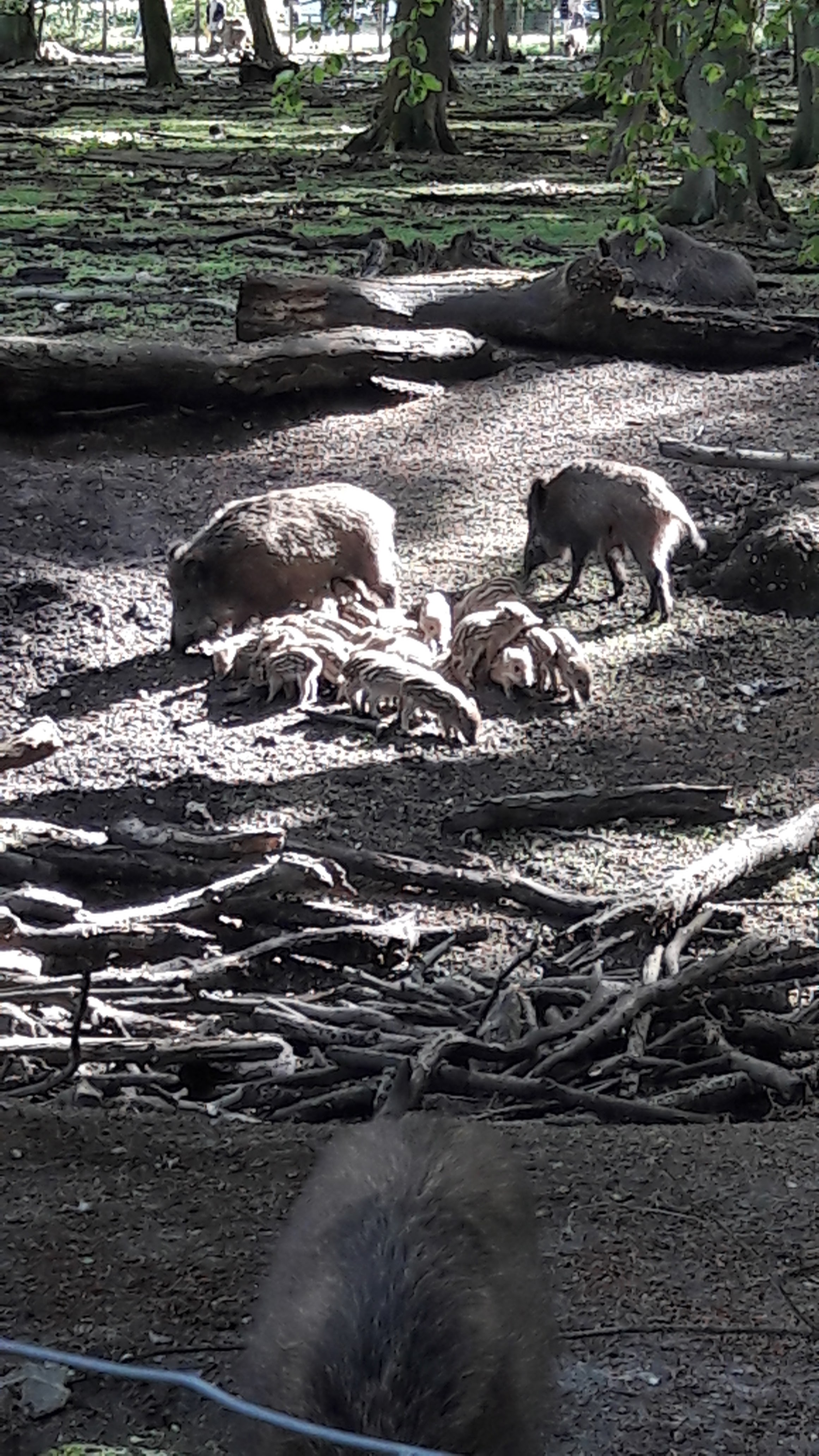 Photo n° 8 de l'avis de Lulu.o fait le 05/05/2018 à 16:53