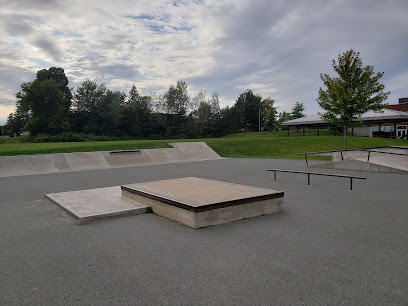 Montcalm skate park