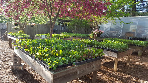 Florist «Kembles Greenhouse», reviews and photos, 308 S Prairie St, Prairie du Chien, WI 53821, USA