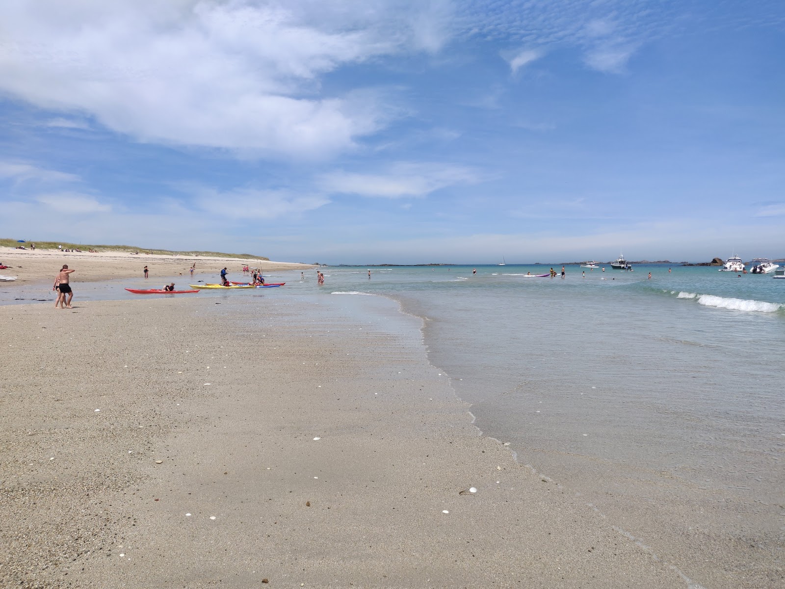 Zdjęcie Shell Beach z poziomem czystości wysoki