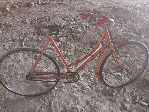 Bicycle Store «Cal Coast Bicycles», reviews and photos, 3020 Adams Ave, San Diego, CA 92116, USA