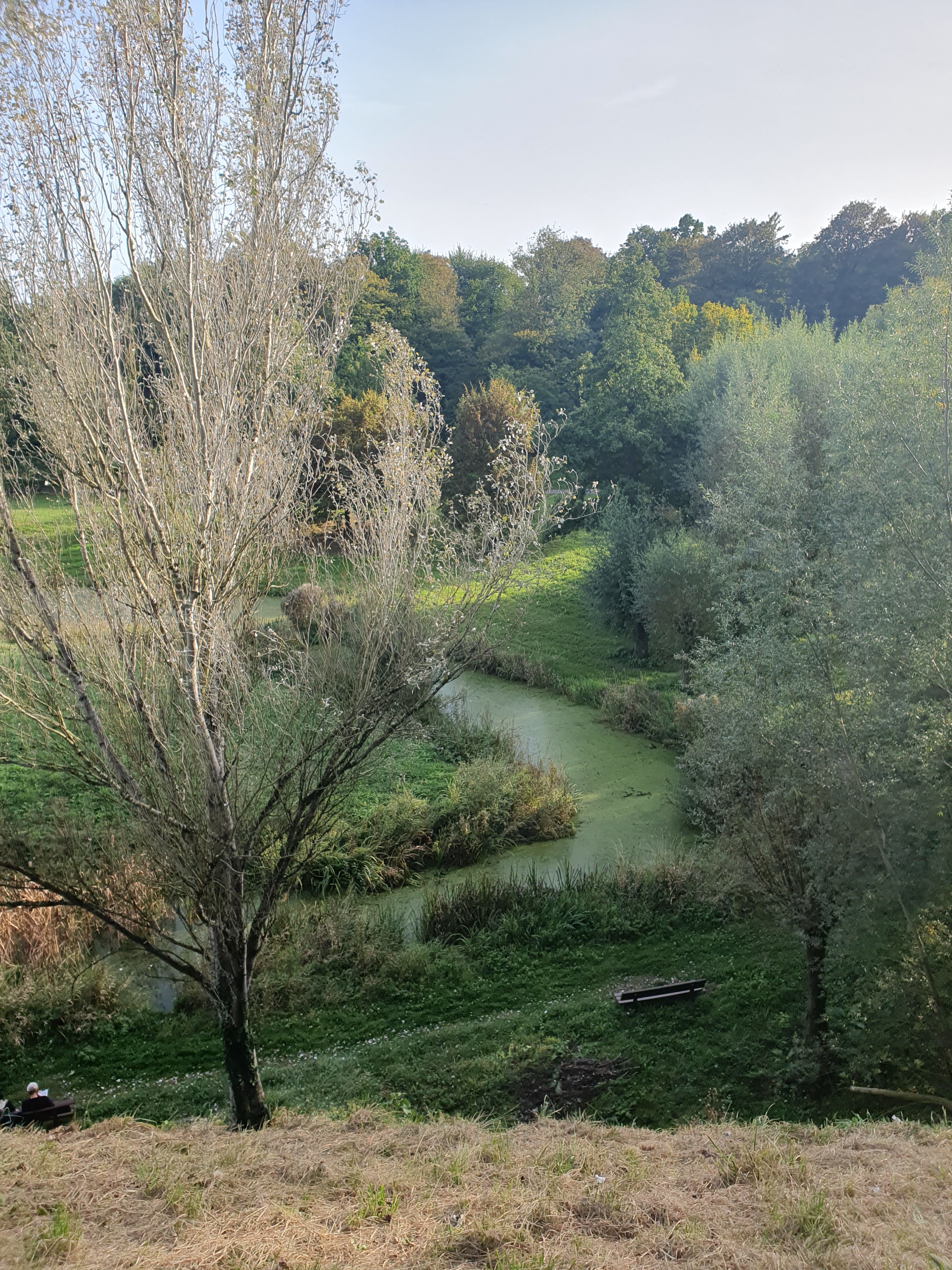 Photo n° 3 de l'avis de sebastien.a fait le 15/10/2023 à 13:57