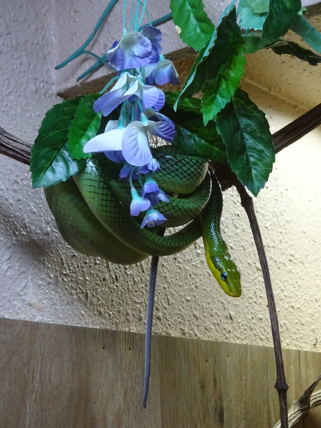 Photo n° 4 de l'avis de GONZALEZ.a fait le 23/08/2019 à 20:37