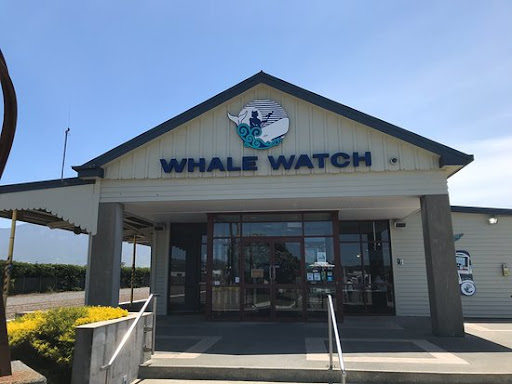 Santo Domingo Whale Watch